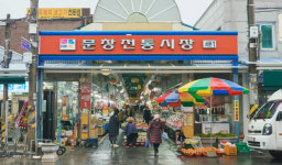 ‘야시장에서 한화이글스 응원을’ 대전 문창전통시장[전국시장자랑]