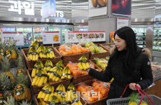 바나나, 오렌지…롯데마트, 25일부터 수입과일 할인행사