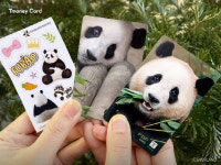 티머니, 에버랜드와 푸바오티머니카드 2종 출시