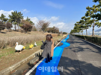 더 빛나는 광안대교, 새들 노니는 을숙도…국제관광도시 부산의 도약[여행]