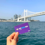 더 빛나는 광안대교, 새들 노니는 을숙도…국제관광도시 부산의 도약[여행]