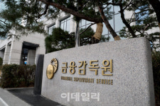 [단독]금감원, GA 빅3 'GA코리아·글로벌금융·인카금융' 정조준