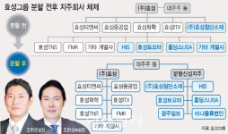 효성 조현준·조현상 ‘독립 경영’ 나선 숨은 배경은