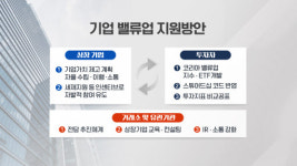 알맹이 없는 밸류업에 현대차 등 저PBR주 일제히 하락