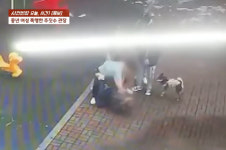 방충망까지 뜯고…흡연女 폭행한 주짓수 관장 “난 정신XX”
