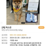 “키우실 분 공짜!” 쪽지...물건 떨이하듯 강아지 버리고 가