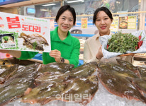 [포토] 농협유통, 봄 도다리 할인 판매