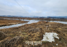 수질 4등급 용인 율곡천, 39억 들여 깨끗한 하천 만든다