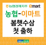 농협수삼랜드150호 | [포토] 농협경제지주, 봄맞이 수삼 판매