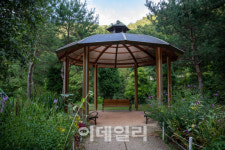 속리산 속 충북알프스 자연휴양림..산촌경제 新모델