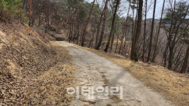 속리산 속 충북알프스 자연휴양림..산촌경제 新모델