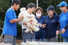 경기도, 북부권 반려동물테마파크 조성…2026년 준공 목표