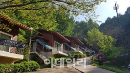 어머니의 품 같은 山에서 자연의 겸손함을 배운다