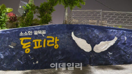 무지갯빛으로 빛나는 도시…이중섭이 지금의 통영을 본다면[여행]