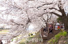 의정부시, 보행자 중심도시로 탈바꿈…걷고싶은도시국 신설