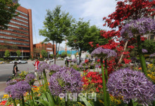 [포토] 송파구청 앞 아름다운 거리