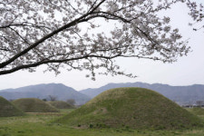 경주 금척리 고분군 발굴 이야기 듣는다…사전설명회 개최