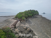 동춘서커스 99년 역사,대부도에서 빛나다 [여행]