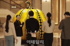 북마리아나 로타섬 송송빌리지 전망대 재개장 외