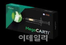 엘앤씨바이오 “메가카티 임상, 美 저널 최우수 연구논문 선정”