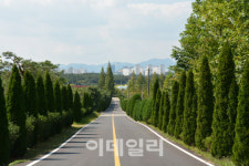 100년간 치산정책 선봉서 산림바이오·관광 핵심지로 도약