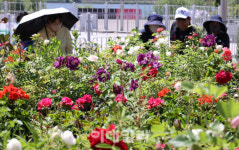 [포토]뚝섬한강공원, 일상의 힐링공간