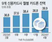 빚내서 빚갚는 카드론 대환대출 1년새 6000억원 증가