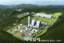 [마켓인]ESG 대척점 삼척블루파워…믿을 곳은 리테일 뿐