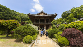 자연에 푹 빠지다…웰니스 여행지 소백산생태탐방원 [여행]