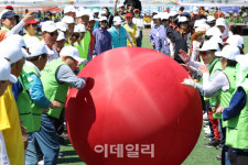 [포토]시니어 올림픽에서 공굴리기
