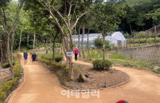 남양주시, 맨발걷기 길 연달아 개장…호평동·청학리 일대