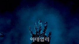 몰디브가 된 충남 서천...야광충 출몰에 관광객 몰린다 [영상]