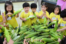 [포토] 하나로마트, 웰빙 간식 옥수수 본격 판매