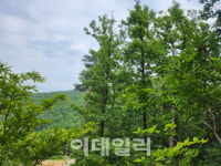 한·독 양국 20년 노력이 맺은 명품숲..100년 숲경영 기틀 마련