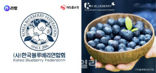 NS홈쇼핑, 라이브커머스에서 전국 블루베리 판매 방송 시작
