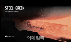 비전씨엠연구소주 | 동국제강·동국씨엠, 지속가능경영보고서 발간