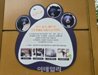갈비뼈사자처럼 ‘갇혀’보았습니다…‘동물원’ 목적이 뭘까요?[댕냥구조대]