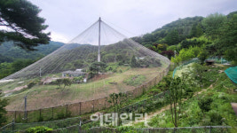 갈비뼈사자처럼 ‘갇혀’보았습니다…‘동물원’ 목적이 뭘까요?[댕냥구조대]