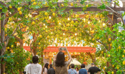 더현대 서울 포지타노의 태양, 방문객 10만명 돌파