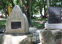 주민들이 지킨 마을숲, 주민들 지켜주는 수호 숲으로 보은