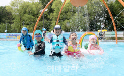 [포토]무더위엔 물 속에서