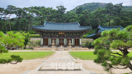 어머니 품처럼 편안한 진관사…고려~독립운동 역사도 담겨[서울곳곳]