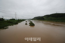 [포토]문산천 범람 위험