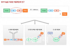 제2의 엔허투 만들자...상장 속도내는 차세대 ADC 바이오텍들