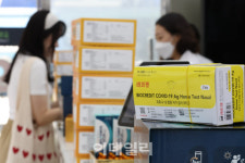 [포토]약국에 구비돼 있는 코로나19 검사 키트