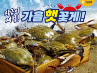 가을 별미 꽃게 돌아왔다…가장 저렴한 곳은?