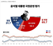 尹대통령 지지율 31%…8·15 독트린 실현불가 73%[조원씨앤아이]