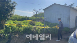 집 앞 텃밭서 대마·양귀비 재배…해경, 밀경사범 367명 적발