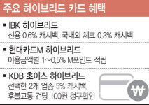 잔액 부족 민망함은 그만, 할부되는 체카 납시오