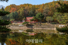 켄싱턴리조트 설악밸리, 5주년 기념 아이러브 설악밸리 패키지 출시